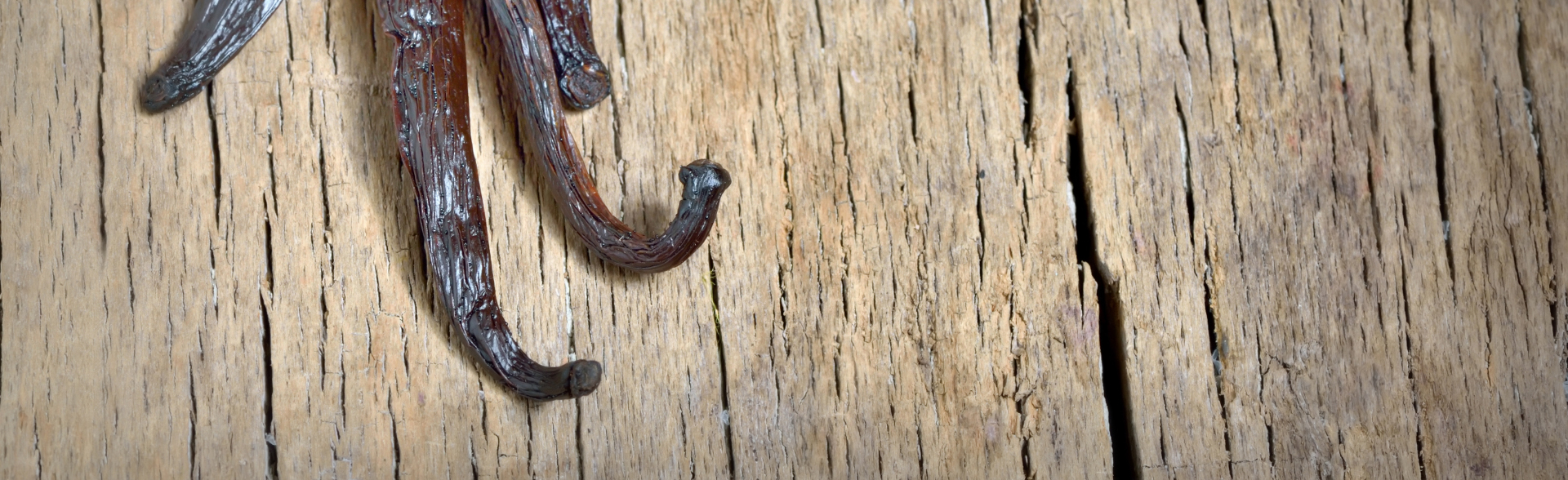 Bourbon vanilla beans isolated