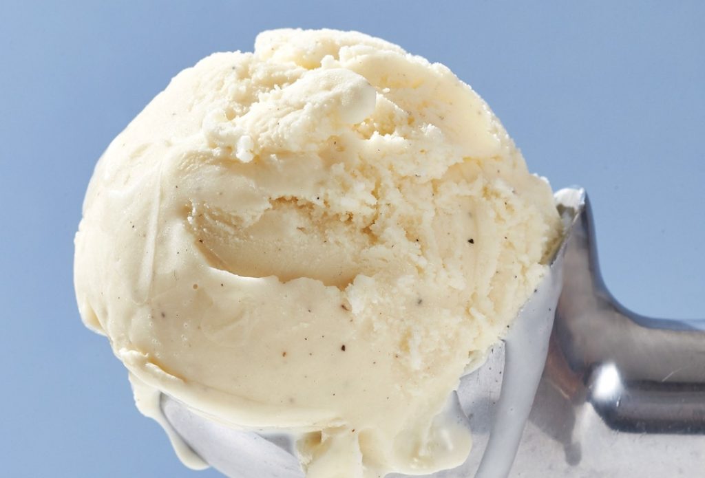 A Single Scoop of Double Fold Vanilla Ice Cream on a Ice Cream Scoop