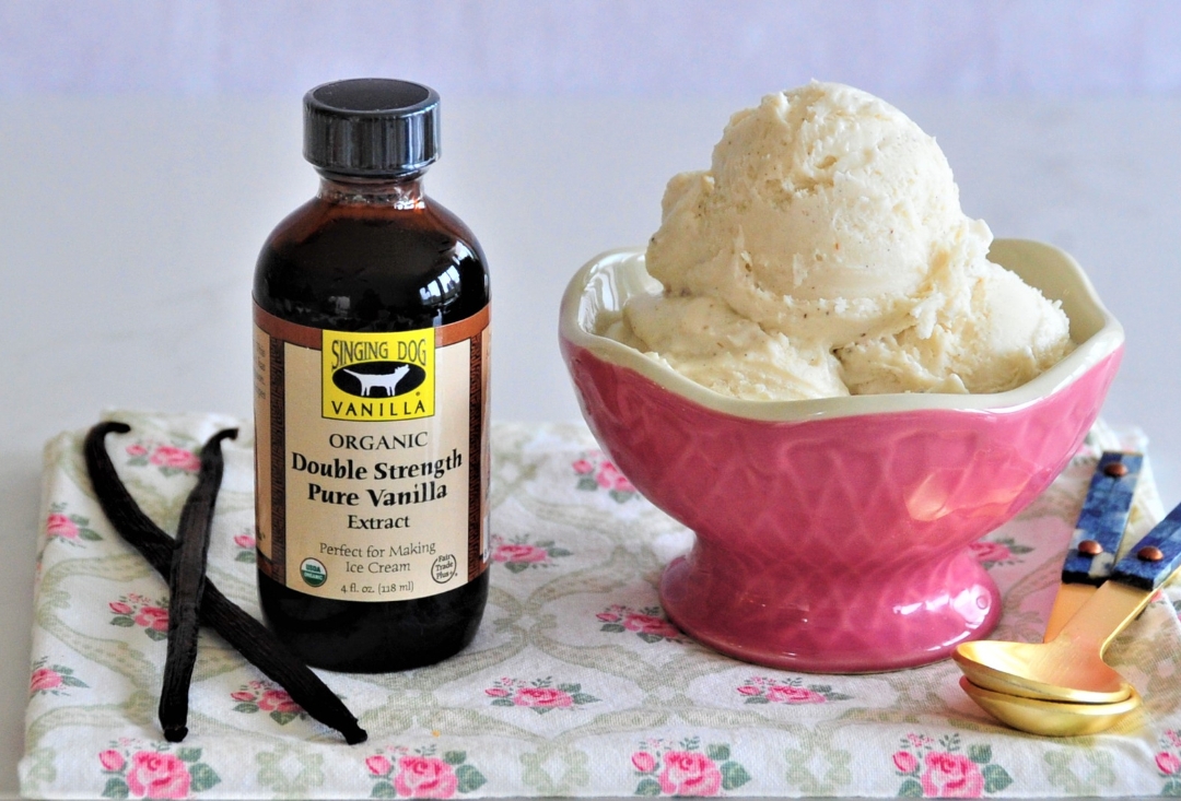 Vanilla vs French Vanilla The Ultimate Guide to Vanilla Ice Cream